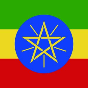 衣索比亞 耶加雪菲 (單品咖啡豆半磅227g)