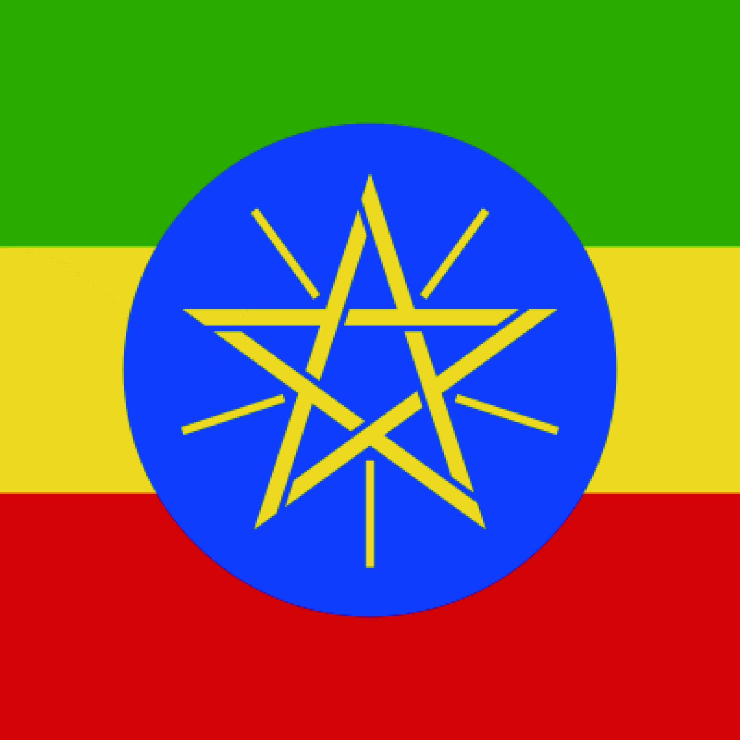 衣索比亞 耶加雪菲 (單品咖啡豆半磅227g)